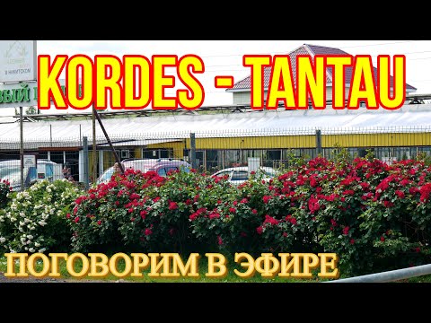 Розы Кордес и