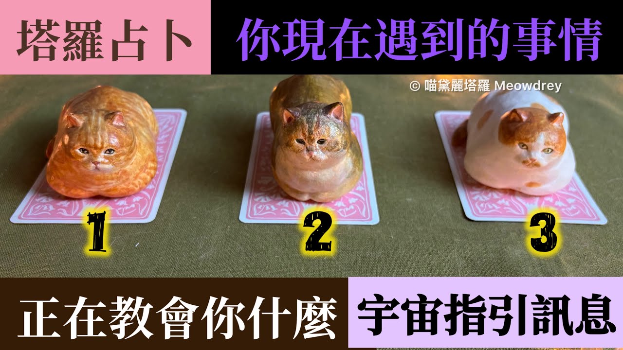 塔羅占卜🌛你現在遇到的事情，正在教會你什麼｜宇宙指引訊息🪐 #課題 #逆境 #困境 #焦慮 #壓力大  ｜#喵黛麗塔羅