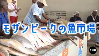 モザンビークの魚市場に行ってみた！