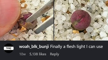 When Posts Reach The Wrong Audience 🥀 Cooked By Instagram Comments #26