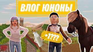 : RRP | SSO |   |     | ? | 