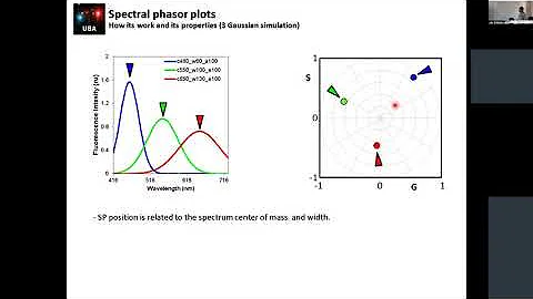 Lecture 10  Leonel Malacrida The spectral phasor p...