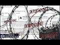 La RIDICOLA pagina di Wikipedia sulla Remigrazione. Se ne hanno il terrore, è la strada giusta
