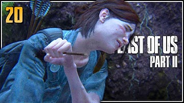 Whispers in the Forest - Let