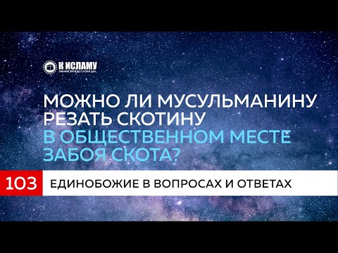 Вопрос 103. Можно ли мусульманину резать скотину в общественных местах забоя скота? | К Исламу