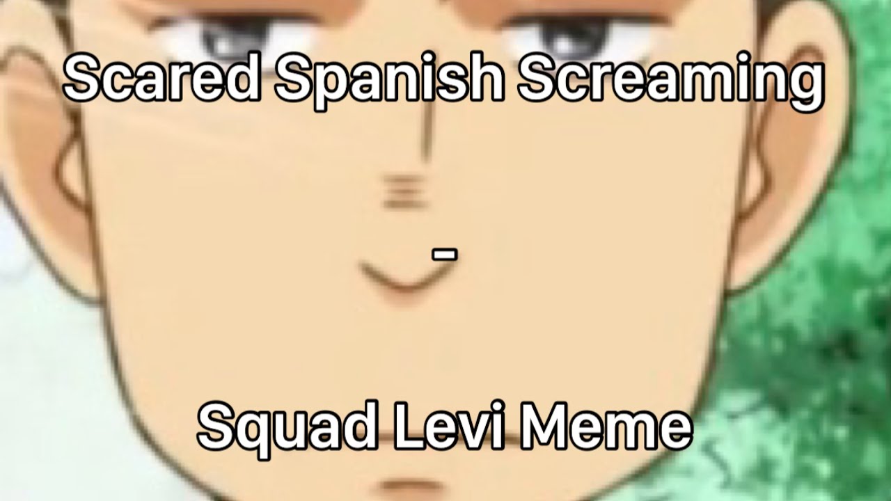 Scared Spanish Screaming - Squad Levi Meme