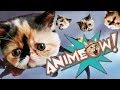 Killer Kittens in DANTE'S INFERNO: Animeow Ep 7