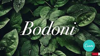 Serif Fonts: A Detailed History and How to Use Them #graphicdesign #designer #photoshop
