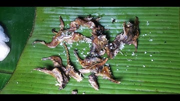 Yos Hav Zoov Tua Nas Noj Qos | Ntuj Tshiab