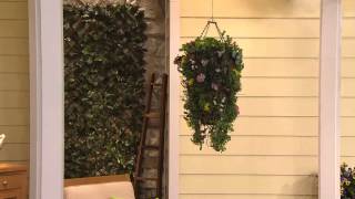 Cottage Farms Rainbow Magic Carpet Sedum with Sandra Bennett screenshot 1