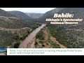 The vast spectacular park of babile  erer  gobelle river valleys  ethiopia