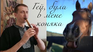 Hey, I had a horse (Ukrainian song) | Sopilka