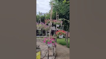 View 4 Cà phê Mộc ngay cầu Cần Giuộc