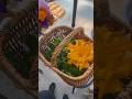 Todo lo que nos dio nuestra huerta, #parati #viral #garden #cosecha #harvest