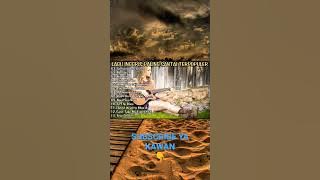 LAGU BARAT TERPOPULER || ENAK BUAT NYANTAI