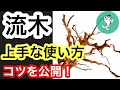 【流木レイアウト】流木を上手に使う"プロの技術"を実践解説!!