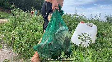 Đầu Nguồn Hồ Sông Ray Điểm Chài Cá Câu Cá Trôi Phi Đúng Ngon