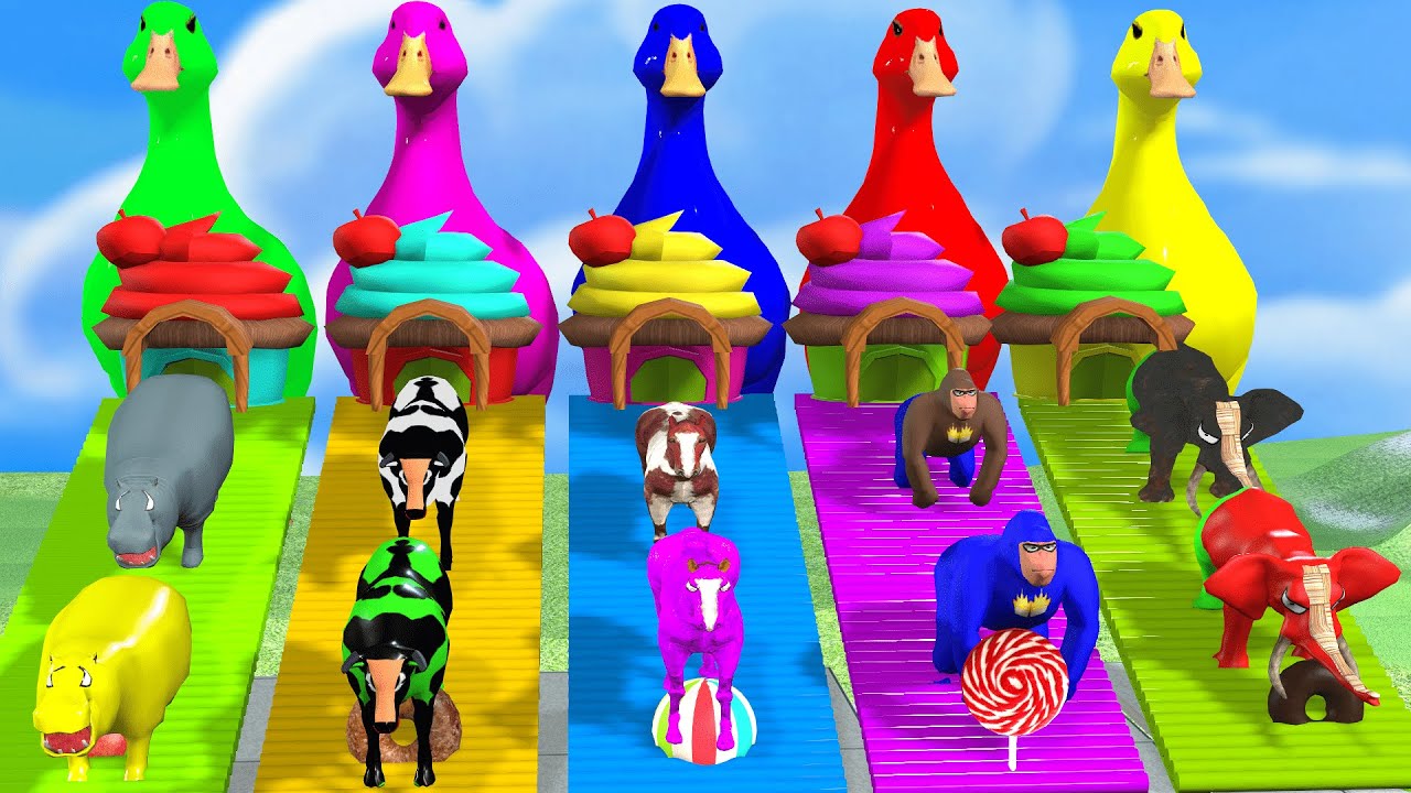 Long Slide Game With Elephant Horse Hippopotamus Cow Gorilla 3d Animal Game Funny 3d Animals