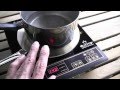 RV Induction Cooktop
