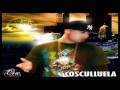 ESTRENO:Cosculluela – Tengo Muchas Gatas, Mucha Lana