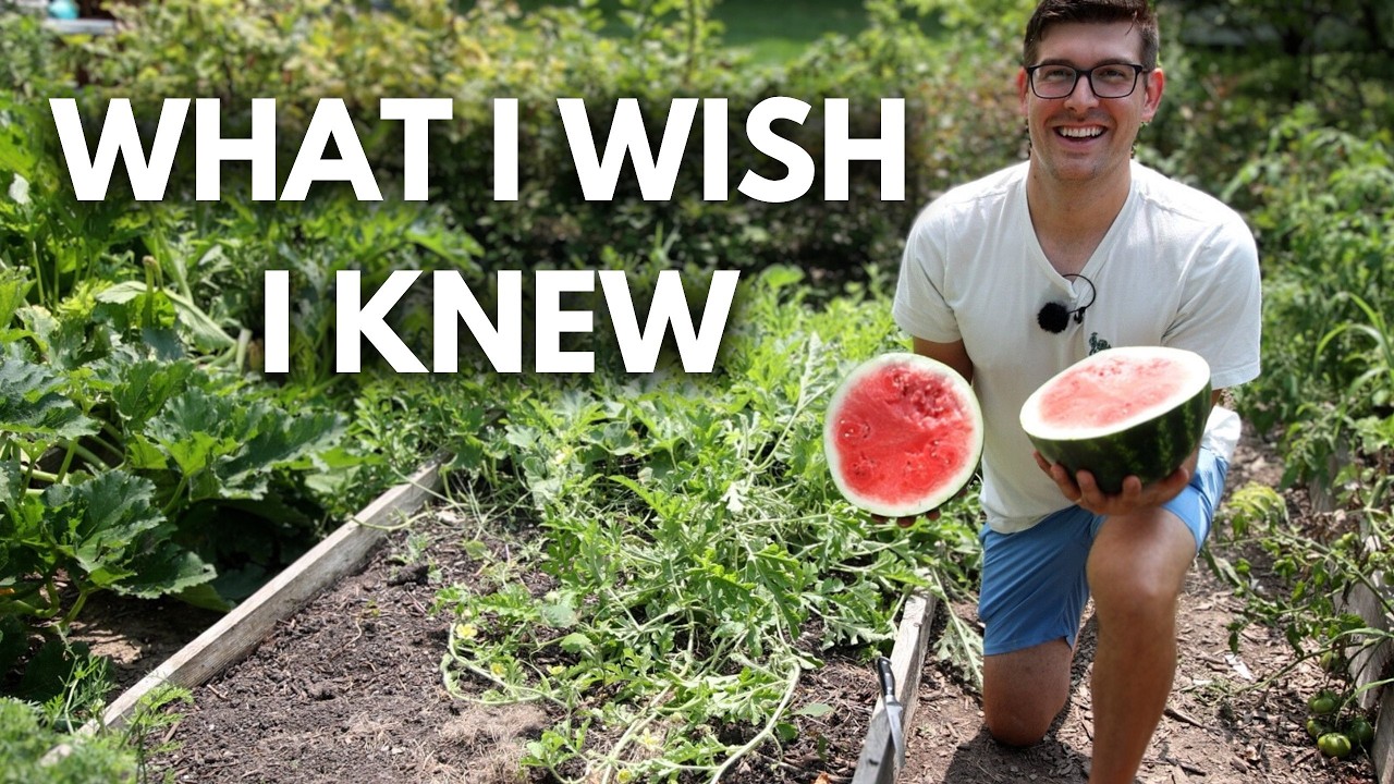 Все, что я хотел бы знать об арбузах, будучи начинающим садоводом