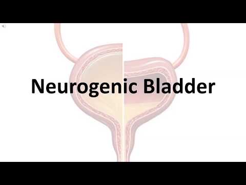 Neurogenic Bladder | Basic Understanding, Types, Causes.