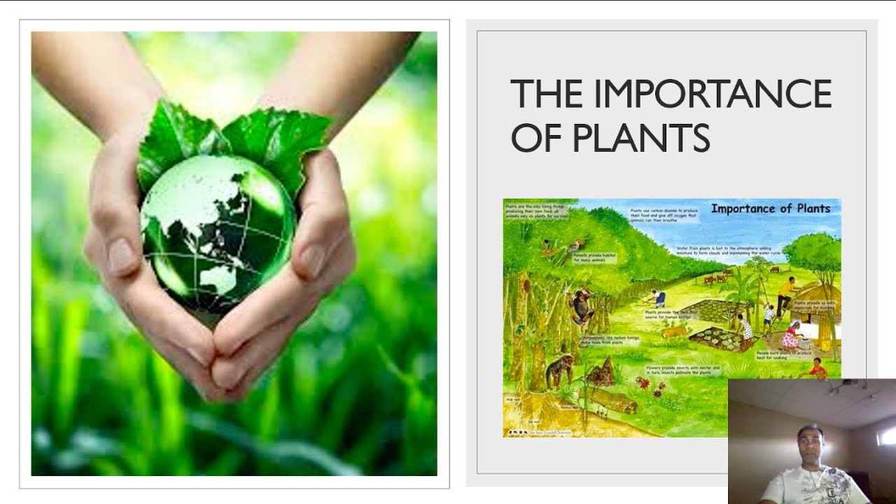 importance of plant visit