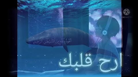 من أجمل التلاوات التي خضعت لها النفوس /القارئ الشيخ عبد الباسط عبد الصمد (