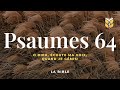 La Bible. Psaumes 64. Louis Segond #biblevision