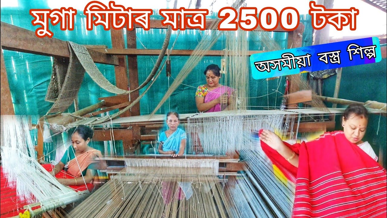 মুগা কাপোৰৰ এটা ভাল business অসমত