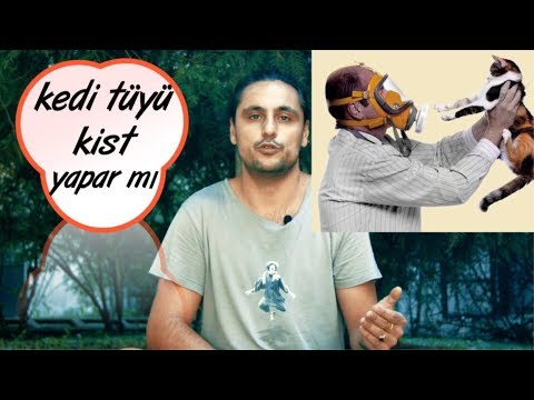 KEDİ TÜYÜ KİST YAPAR MI?