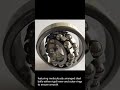 Deep Groove Ball Bearings: High-Speed, Low-Maintenance, Multi-Load Solutions