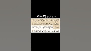 سورة البقرة  من (68 - 69) |القارئ الشيخ : سعد الغامدي#سعدالغامدي #القران_نور_حياتي #القرآن_حياة