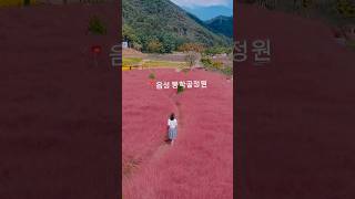봉학골 영상