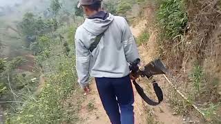 Jalan Pagi Mendengar Kokok Ayam Hutan