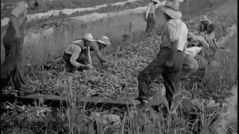 Ralph Barker, Richlawn Farm films, item #48, undated