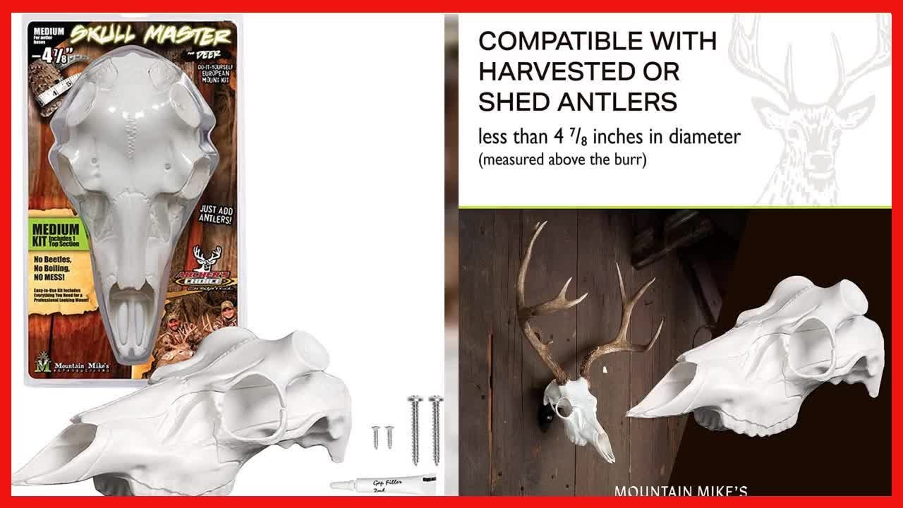 Mountain Mike’s Skull Master EuropeanStyle Mount Kit for Antlers