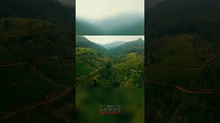 Temple Magic: Witness a Rainbow Over Lush Green Hills! #shorts