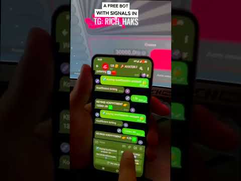 Hrajte v online casino 1Win s českou podporou - zde naleznete veškeré informace