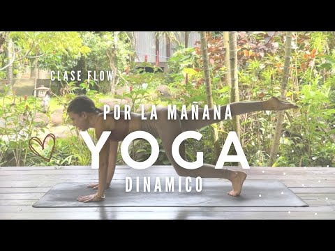 Vinyasa morning Yoga