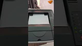 Test máy in 2 mặt tự động HP2015D - CB367A