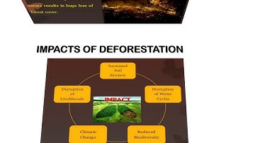 EIA Module 5 Lecture 5 - Deforestation