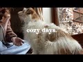 A cozy vlog