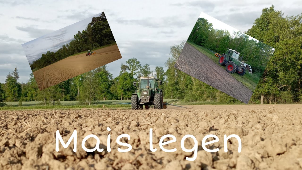 Mais legen‼️|Mit Fendt farmer 308 LSA un Kleine MaxiCorn S😍🔥💯