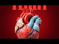 Chiver Hodi Official Lyrics Video Chiver Hodi Official Lyrics Video
