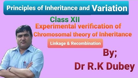 Experimental Verification of Chromosomal theory of Inheritance | Linkage & Recombination | Class XII