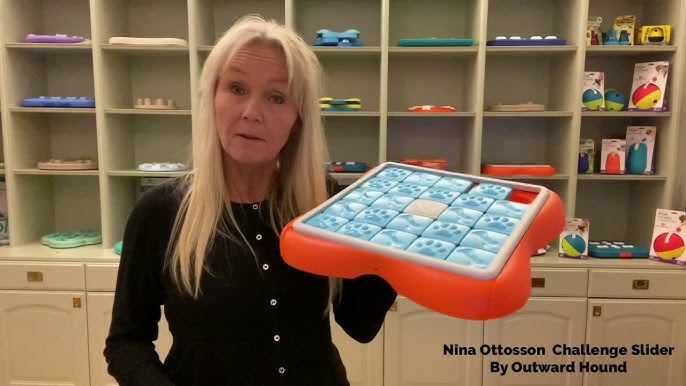 Nina Ottosson Casino Puzzle Toy - Feed Pet Purveyor