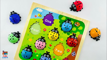 Learn Colors, Numbers & Count Ladybugs | Best Educational Videos for Toddlers Count 1 to 10