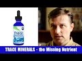 Trace Minerals, the Missing Nutrient in Our Soils, Plants and Bodies!