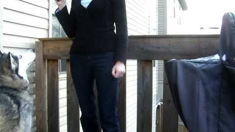 LunaTrainingVideo2.AVI